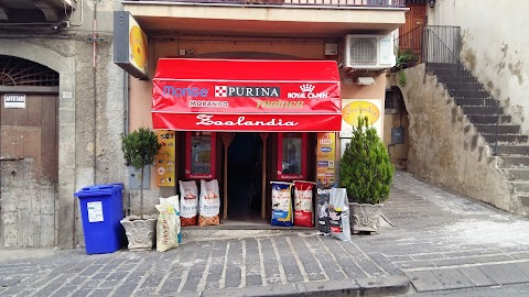 Zoolandia Pet Shop Di Russo Giuseppe