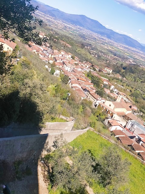 Spizzettando - Carmignano