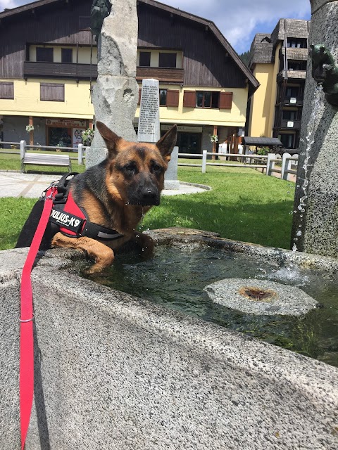 Ospedale Veterinario Dott. Peressotti