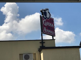 La Gioia Degli Animali