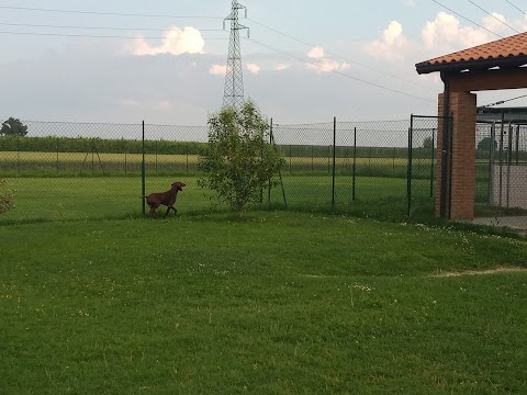 L'isola Felice Pensione per Animali di Costa Giuseppe