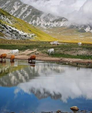 Higher Gran Sasso