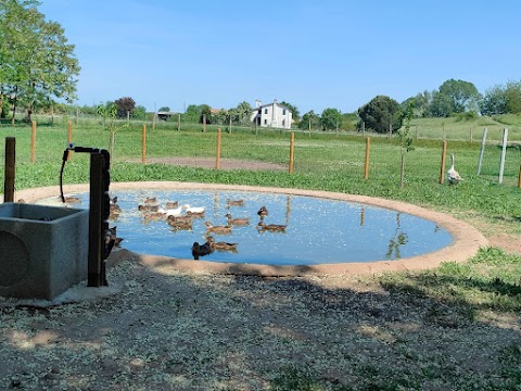 Agricampeggio - Fattoria Didattica Pane e Bellezza