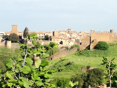 Ufficio Informazioni Turistiche Tuscania (VT)