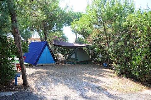 Villaggio Camping Pineta Al Mare