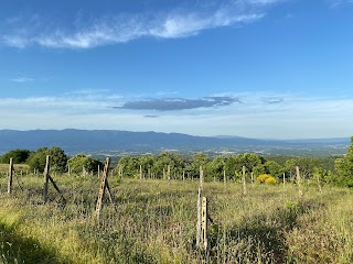 Agriturismo Tribolina