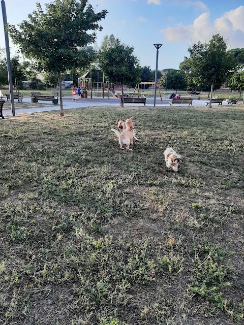 Dog sitter, Roma Piazza Talenti