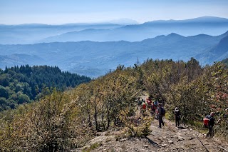 Monte Barigazzo