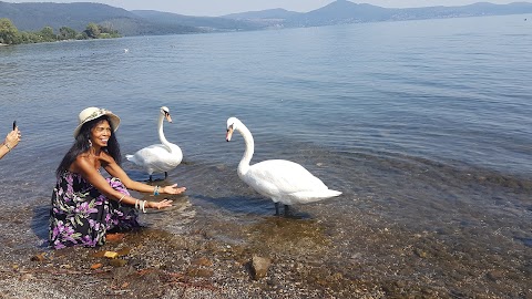 Amici del Lago