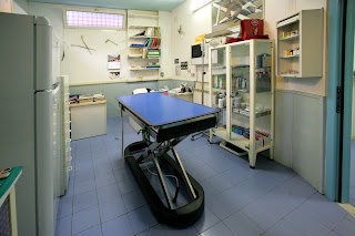 Studio Veterinario Pagella