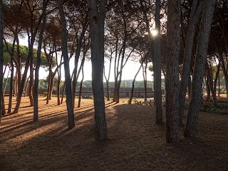 Ex Stella Polare - ora Stadio Giannattasio