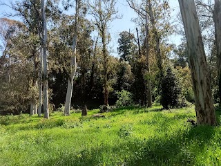 Circolo Parco Della Cellulosa Legambiente APS