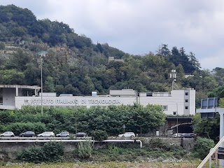 IIT - Center for Robotics and Intelligent Systems