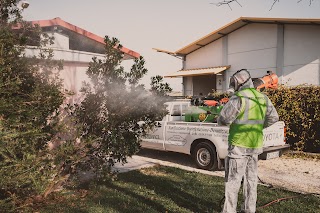 MTC Service - Sanificazione e Disinfestazione | Roma e provincia