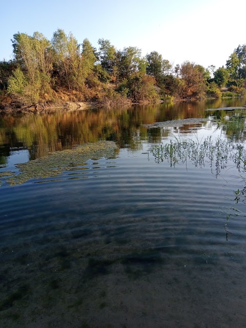 parco Ansa Del Brenta