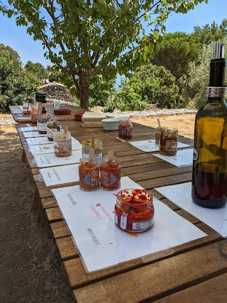 MontataGrande - AgricolTour & Gusteria dell’Etna