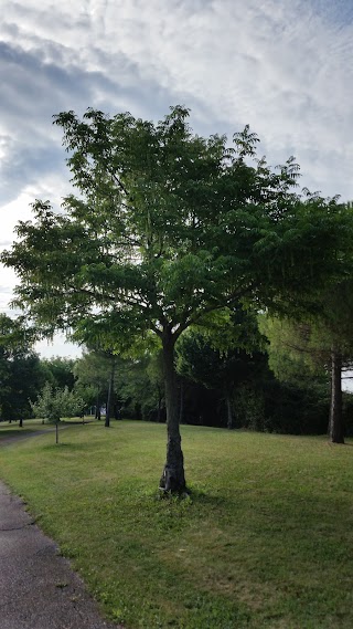 Parco Pubblico Venezia Giulia