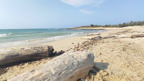 Spiaggia Torre Guaceto - Riserva Naturale