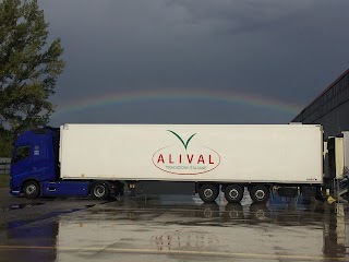 Trasporti Musolino - Trasporti Nazionali ed Esteri