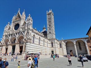 Museo - Opera della Metropolitana