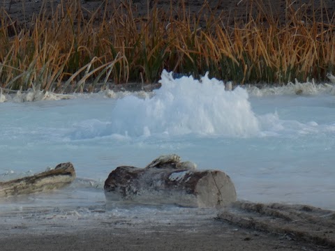 Monumento naturale Caldara di Manziana