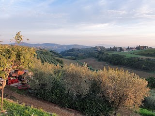 Azienda Agricola Bruscola