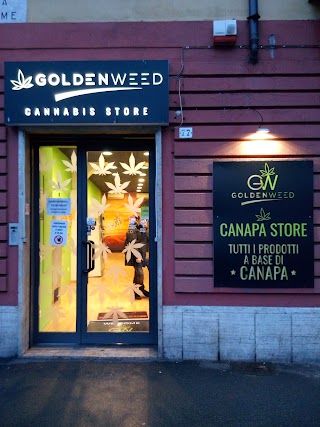 Goldenweed