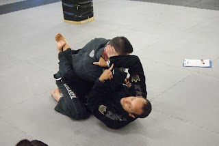 Fratelli Leteri - Brazilian Jiu Jitsu - Cerea