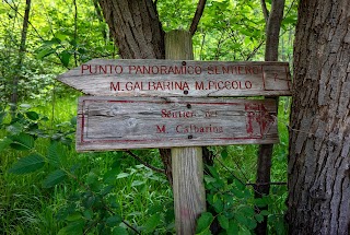 Sentiero del monte Calbarina e del monte Piccolo (km 5,5)