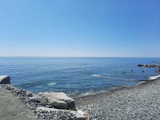 Stone Beach