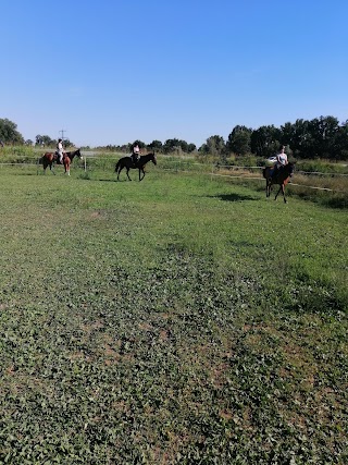 Villaggio i cavalli delle fate