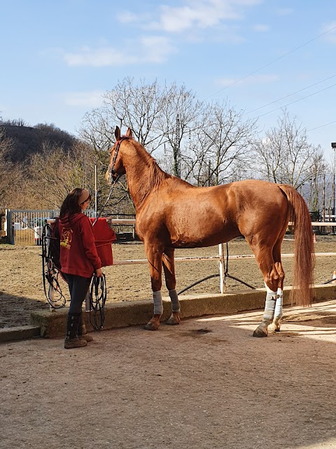 Società Ippica del Bardigiano Escursionismo Equestre