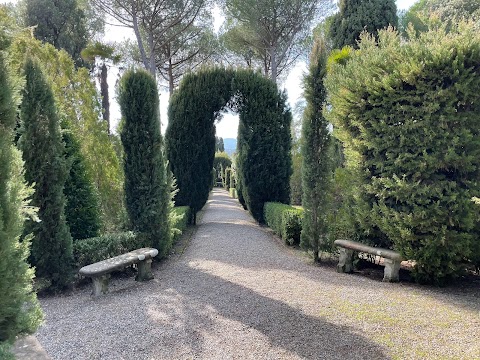 Tenuta Di Ghizzano