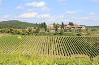 Enoteca di Rocca delle Macìe