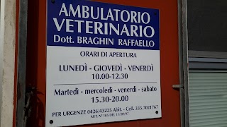 Ambulatorio Veterinario Braghin Dott. Raffaello