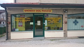 Shower Dog Piovese