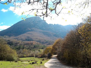 Dr Domenico Gerardo Lauritano psicologo psicoterapeuta cognitivo comportamentale