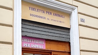 DoGroomer Toeletta per cani