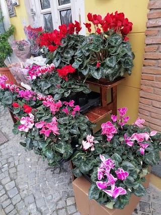 I Fiori di Antonella