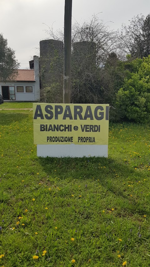 Rivendita asparagi di Sain Claudio