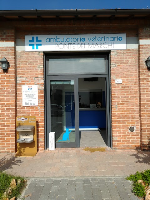 Clinica Veterinaria Ponte dei Marchi