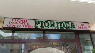 Fioridea