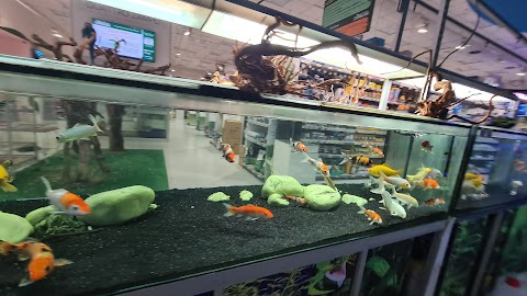 Zoomiguana Il Megastore Degli Animali