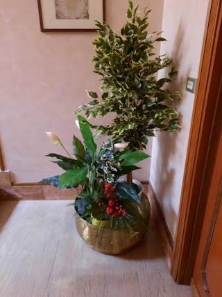 Fiori E Fantasia