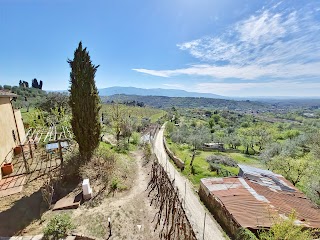 Casamaggio Srl (Casa Spiano)