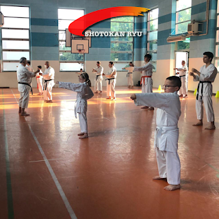 Shotokan Ryu Concorezzo