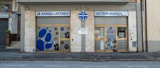 Ambulatorio Veterinario Dr.ssa Mori Moira