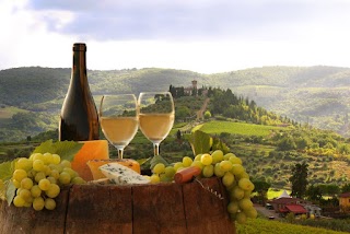 Driver in Florence, Tuscany