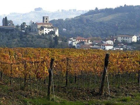 Fattoria di Bacchereto