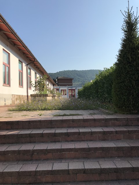 Scuola Primaria La Briglia